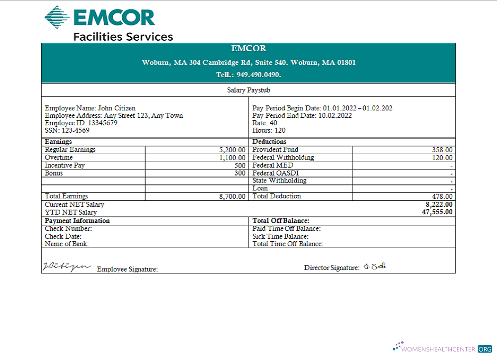 Download USA engineering company employee earning Photoshop template